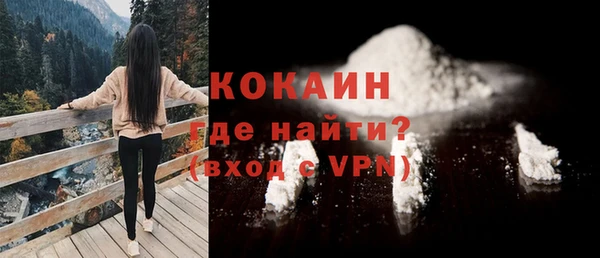 дживик Богородицк