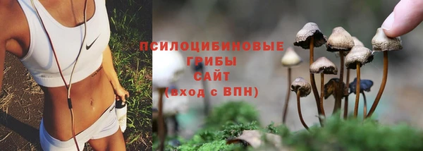 Альфа ПВП Богданович