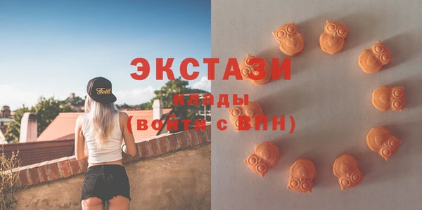 дживик Богородицк