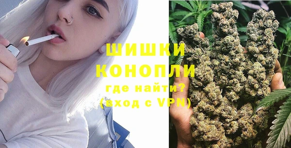 дживик Богородицк