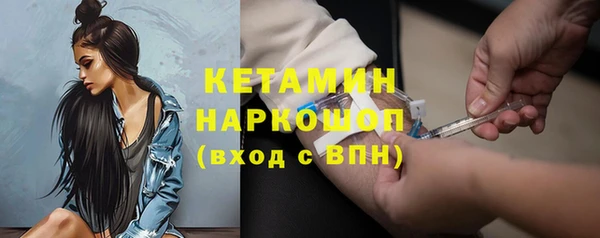 дживик Богородицк