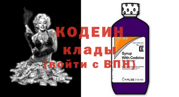 дживик Богородицк