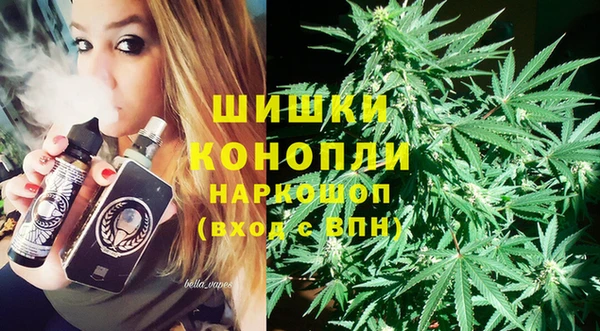 дживик Богородицк