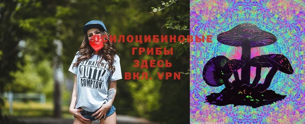 Альфа ПВП Богданович