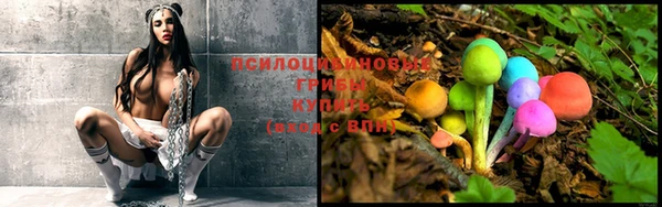 Альфа ПВП Богданович